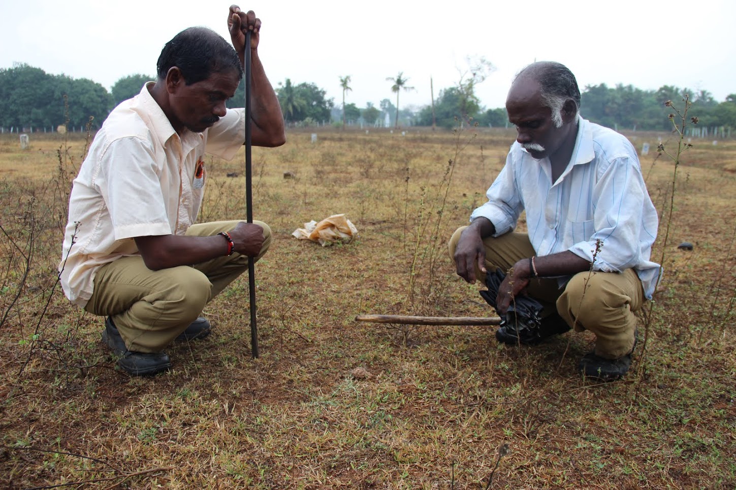 Masi and Vadivelu crouch besides the small, sleeping saw-scaled viper. They need a license to catch it. Credit: Roy Benadict Naveen