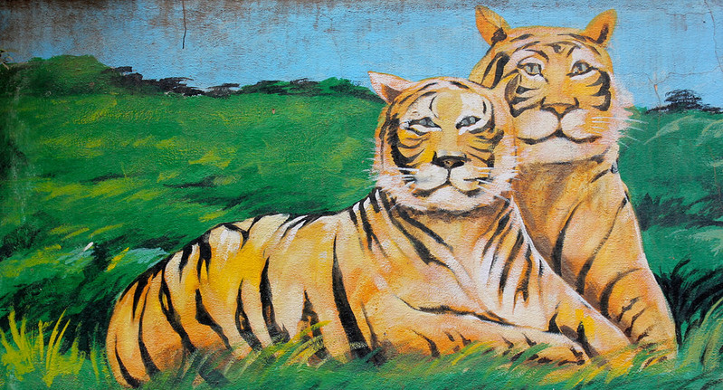 A mural depicting two tigers, in J.P. Nagar, Bengaluru. Credit: nagarjun/Flickr, CC BY 2.0