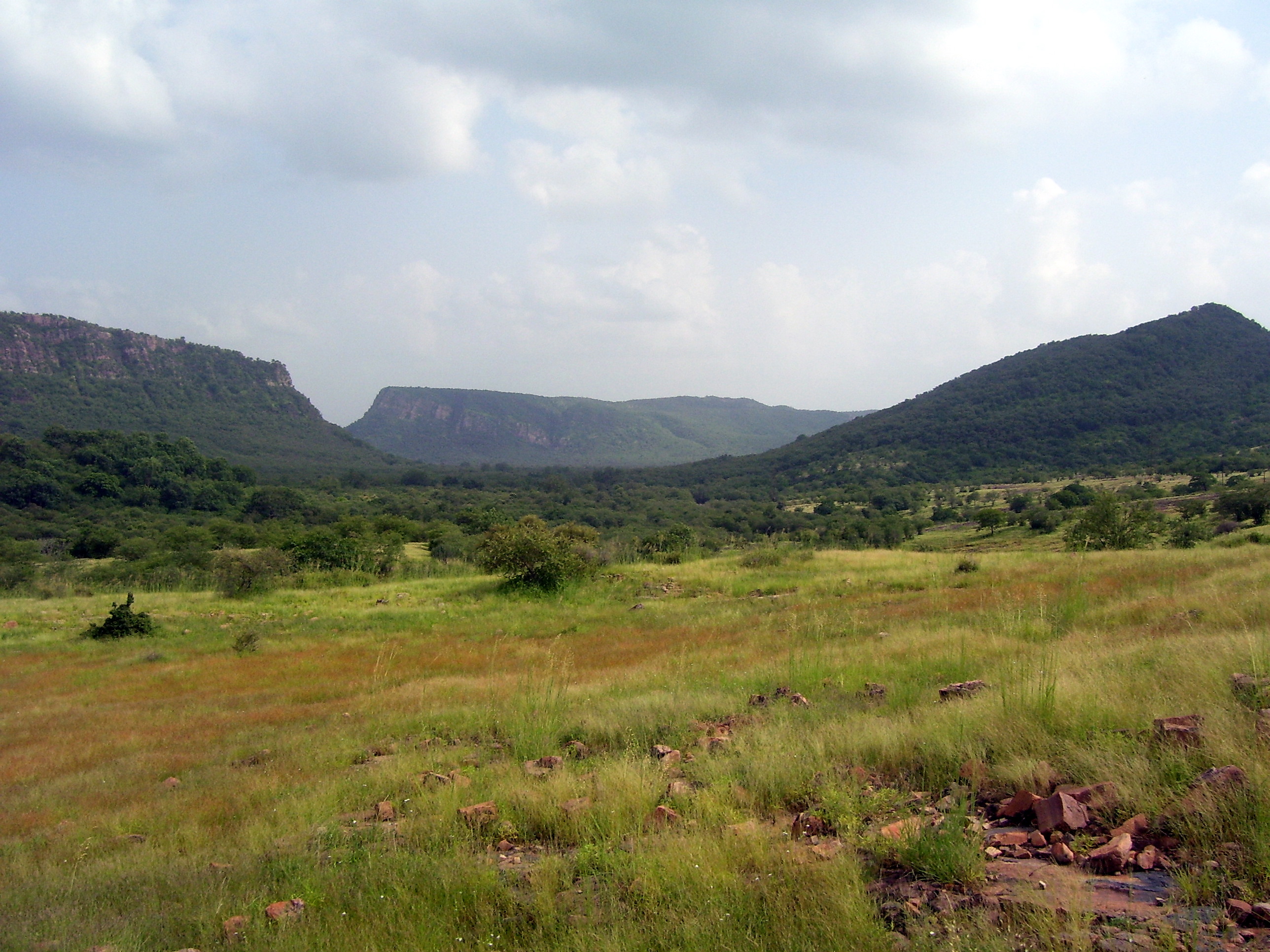 A view of Ranthambore National Park, Rajasthan. Credit: Wikimedia Commons