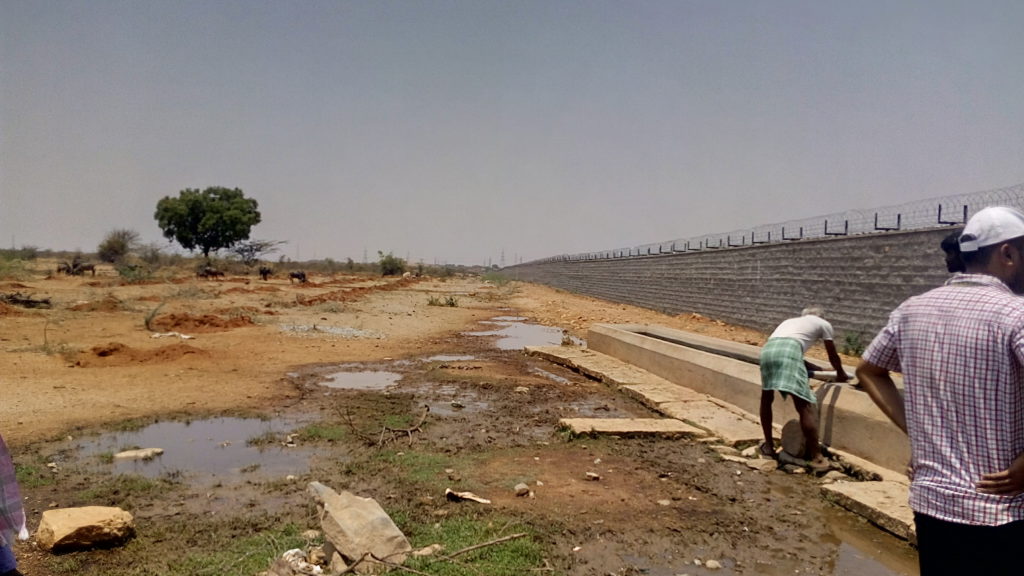 Goshala water trough inside BARC compound. Credit: Gaurav Mendiratta