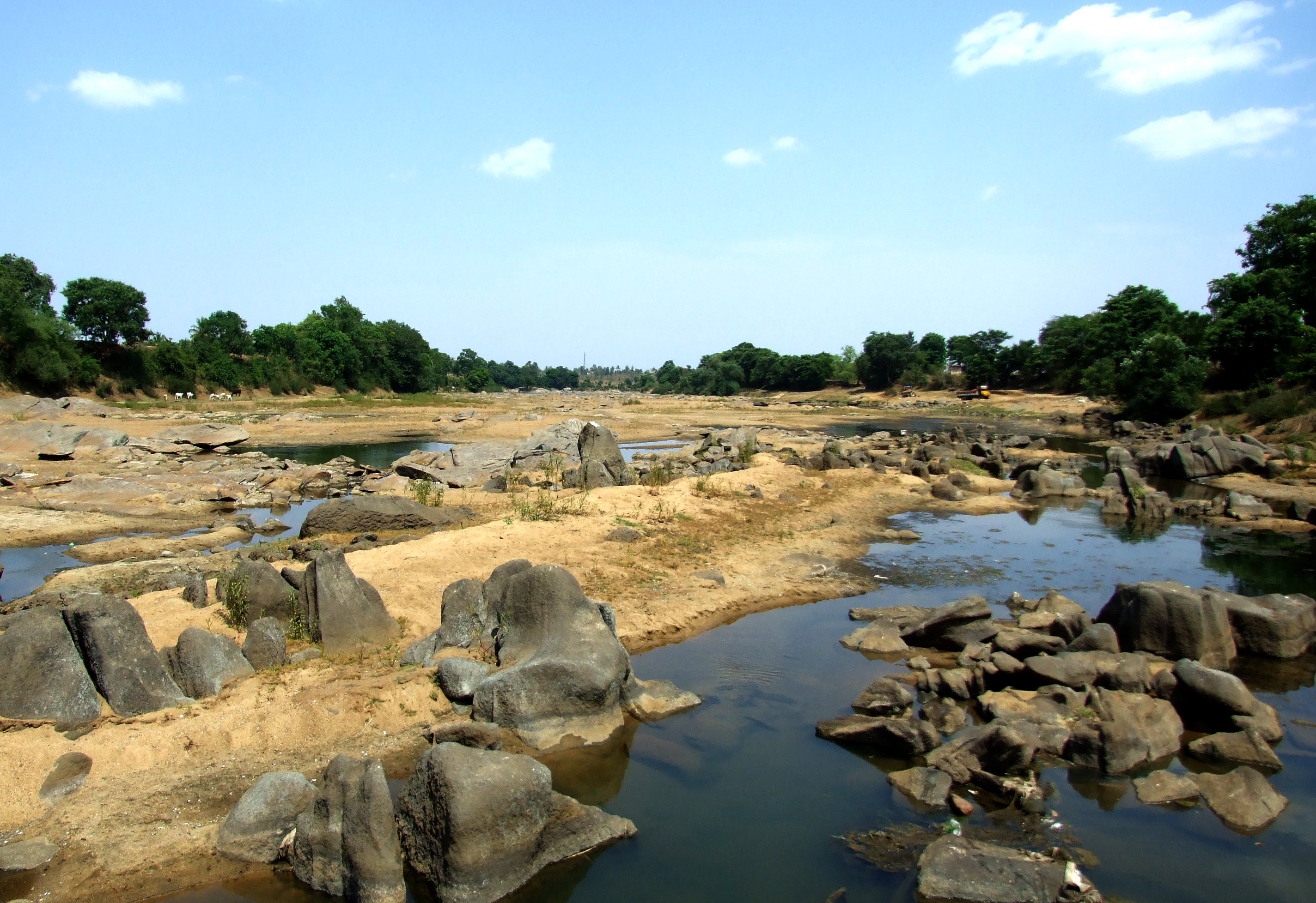 Rampant and illegal sand mining had exposed the spine of the river. Credit: Nisarg Prakash