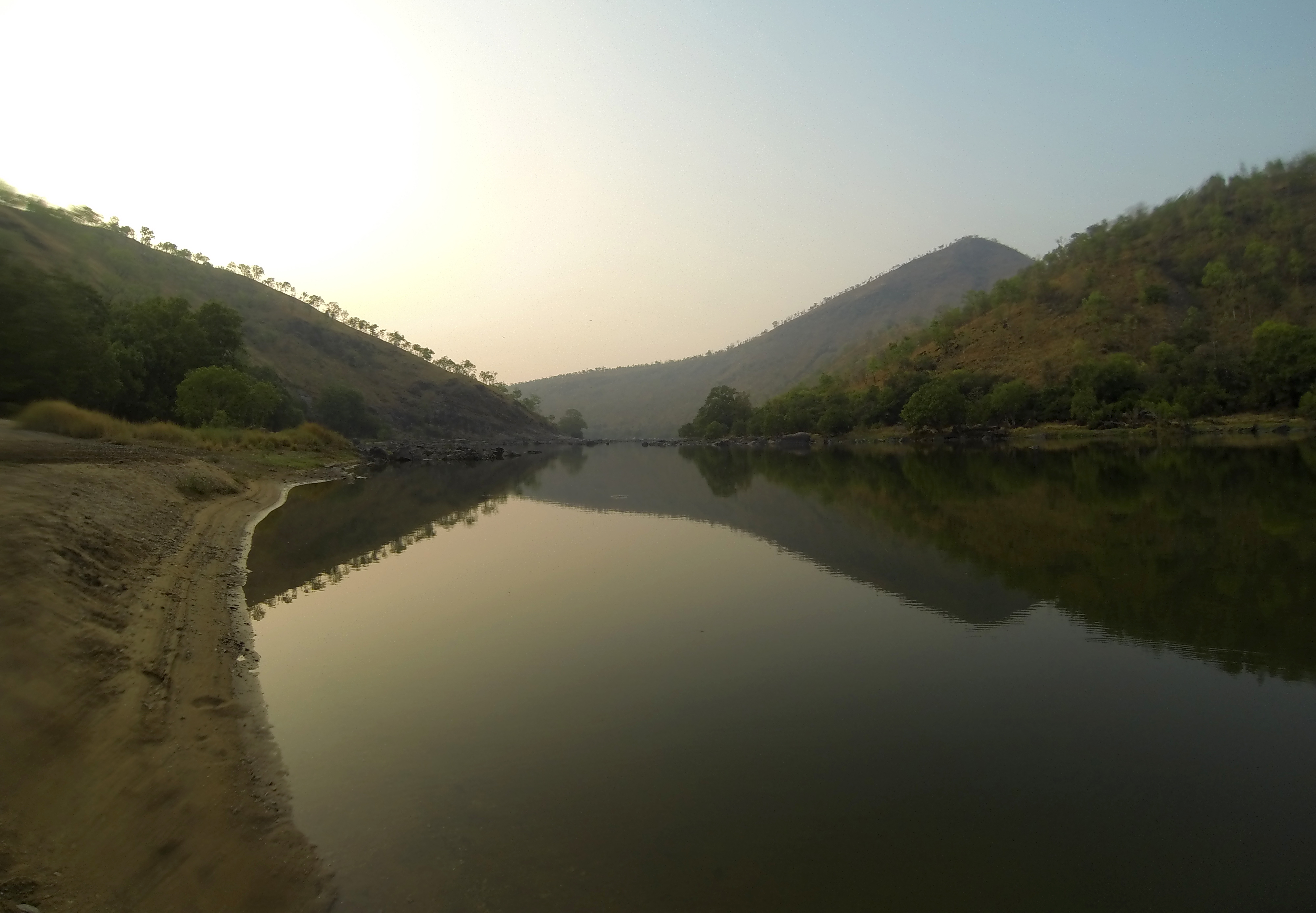 The river was alive in the sanctuary. The valleys echoed with the calls of fish eagles, and fish often leaped out of the water​. Credit: Nisarg Prakash